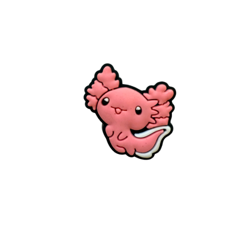 Axolotl 16