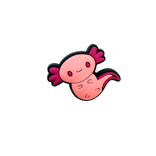 Axolotl 11