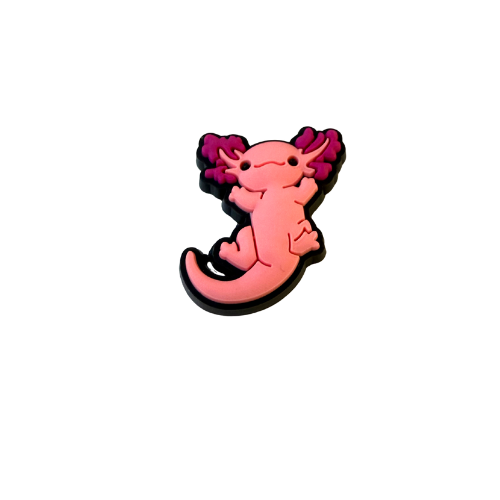 Axolotl 20